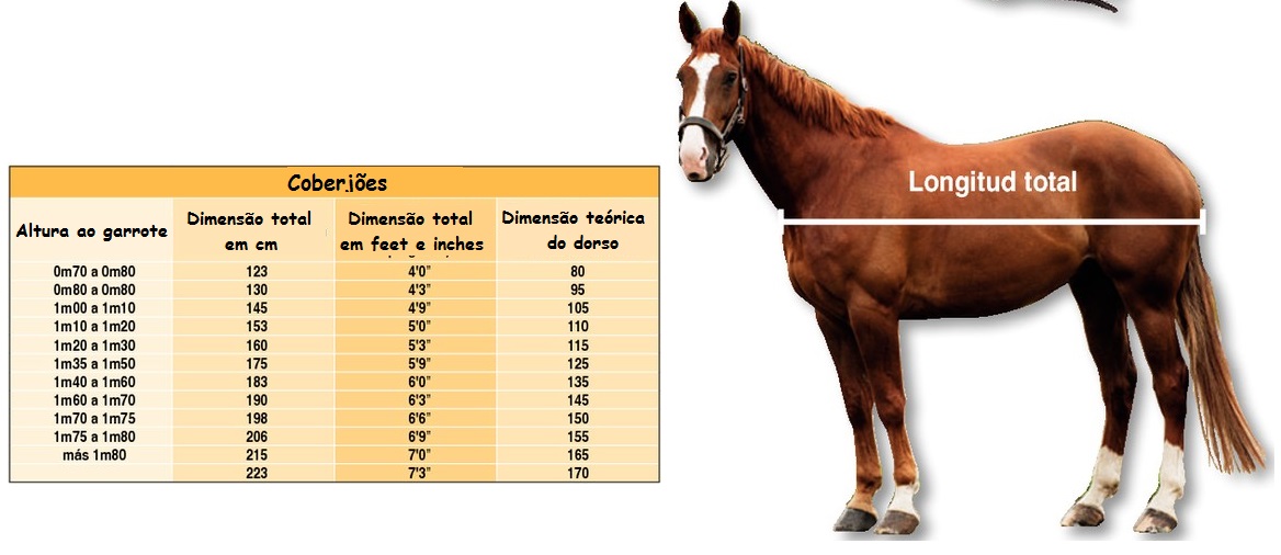 Qual o tamanho de cobrejão ideal para o seu cavalo? Qual o tamanho de cobrejão ideal para o seu cavalo?