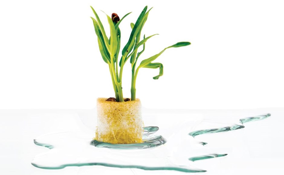¿Cuál es el límite de agua? ¿Cuál es el límite de agua?