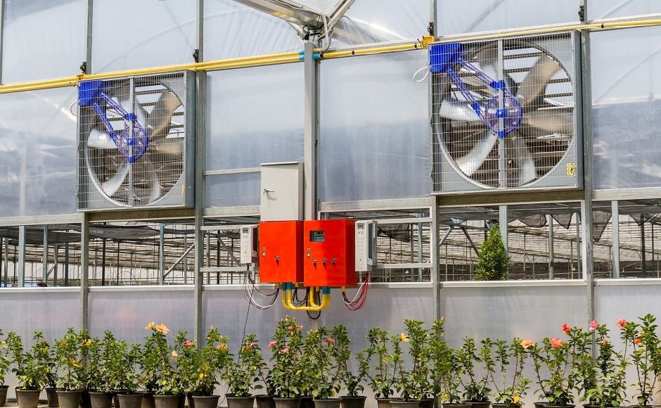 Mantener la calidad del aire del invernadero con dispositivos de purificación de aire Mantener la calidad del aire del invernadero con dispositivos de purificación de aire