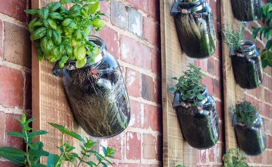 Hortas verticais: como criar paredes vivas de plantas comestíveis Hortas verticais: como criar paredes vivas de plantas comestíveis