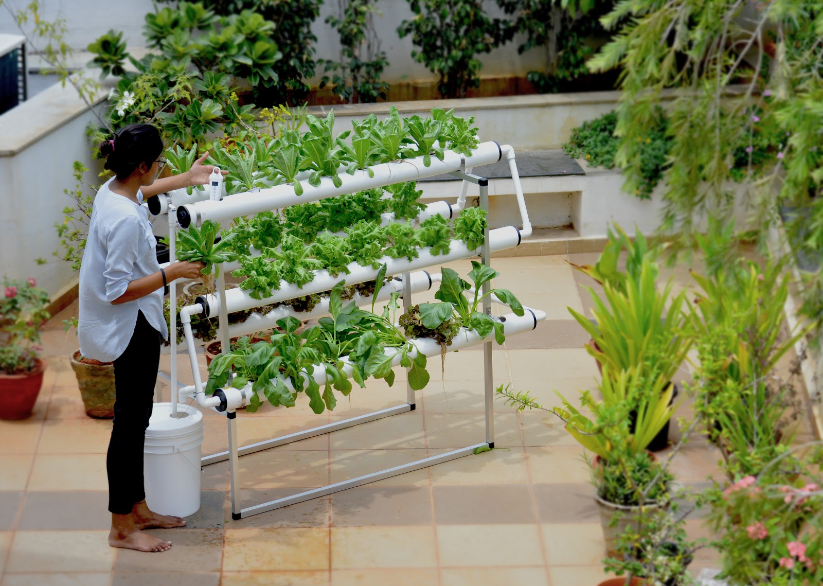 Cultivar em espaços pequenos Cultivar em espaços pequenos