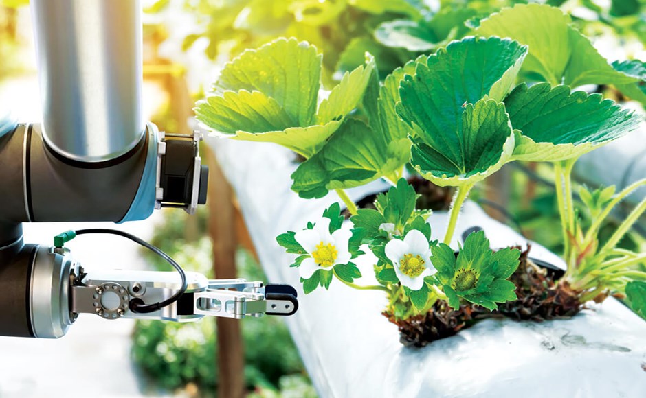 Top High-Tech para Estufas Top High-Tech para Estufas