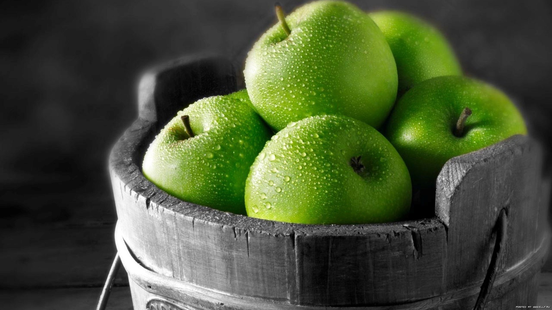 Como cultivar Maçãs em hidroponia Como cultivar Maçãs em hidroponia
