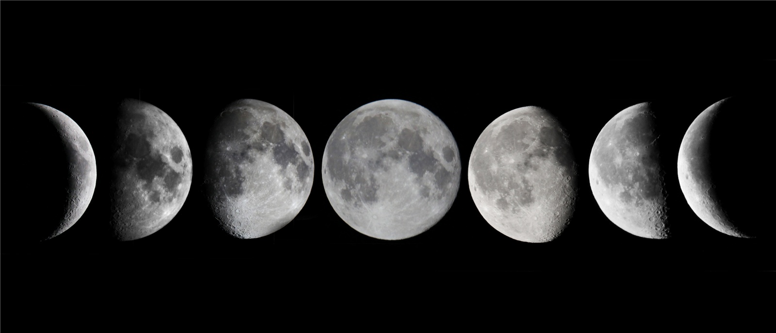 A influência da lua nas plantas A influência da lua nas plantas