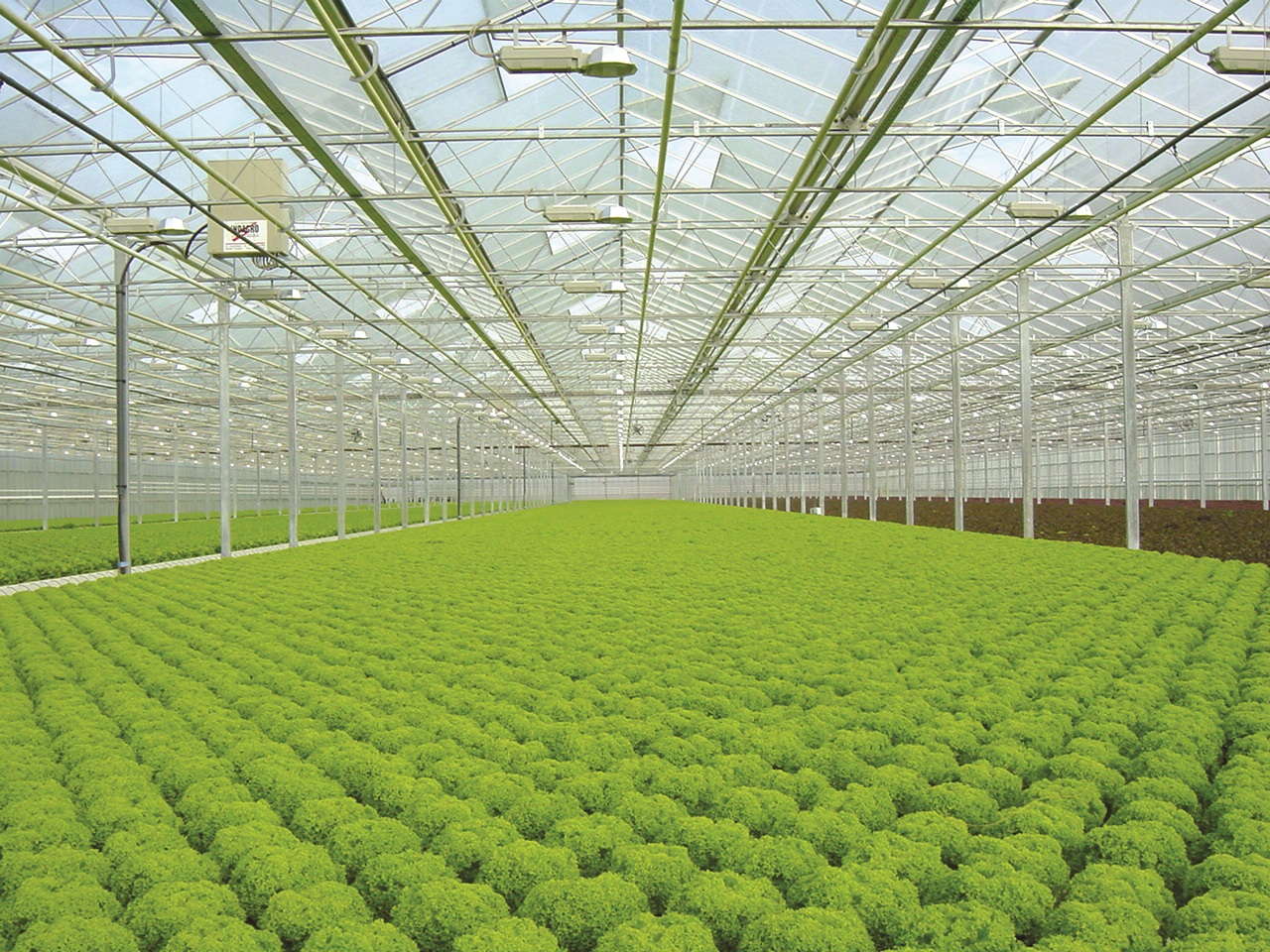 É mesmo necessário possuir uma estufa agrícola? É mesmo necessário possuir uma estufa agrícola?