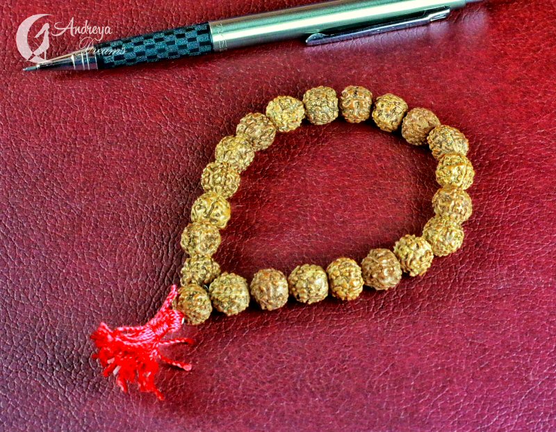 Rudraksha - Pulseira com Sementes Sagradas Rudraksha - Pulseira com Sementes Sagradas